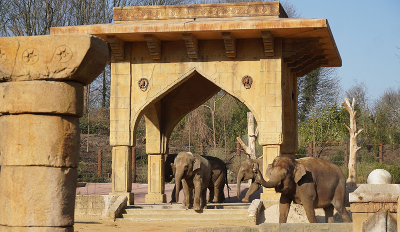 Zoo-Bilanz im Plus – solide Basis für die Zukunft