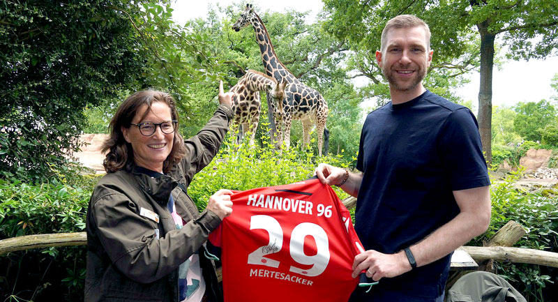 Per Mertesacker besuchte zum Weltgiraffentag seine Paten-Giraffen und gab Autogramme