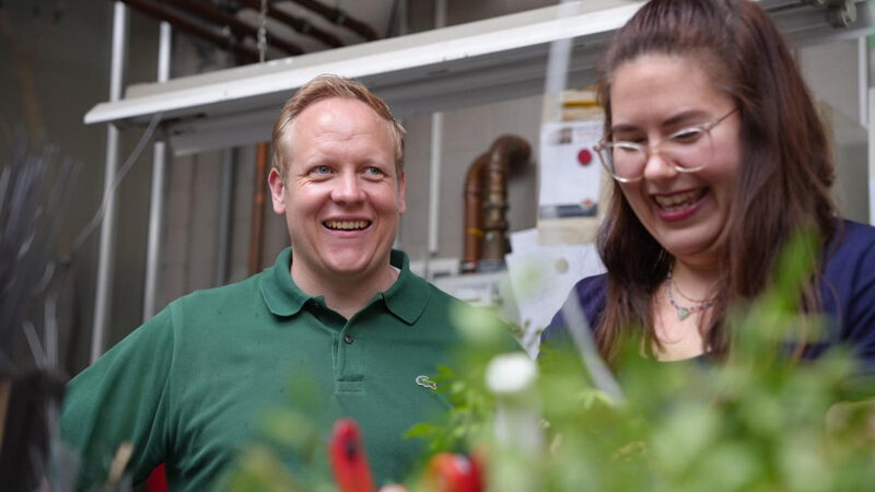 Blumen verschönern den Alltag – auch im Job