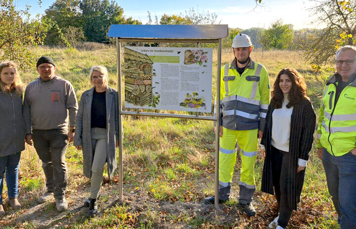 Projekt „Insektenhotel“ in Höver abgeschlossen