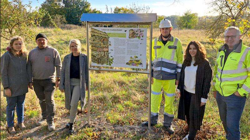 Projekt „Insektenhotel“ in Höver abgeschlossen