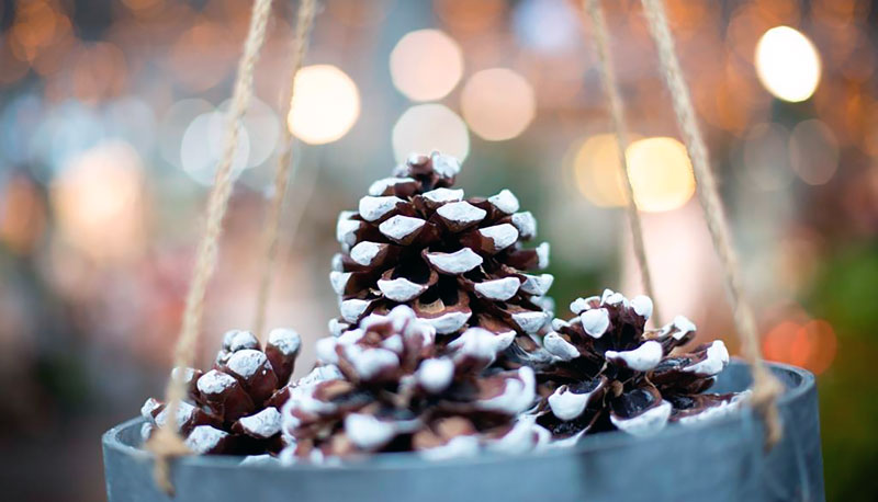 Weihnachtsengel, Weihnachtsmann und Weihnachtsesel in Köthenwald