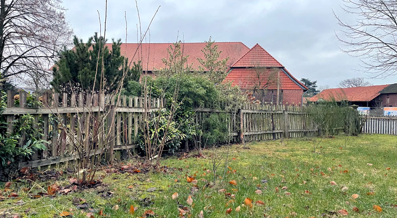 Der Biodiversitäts-Check in der St.-Petri-Ortskirchengemeinde in Steinwedel