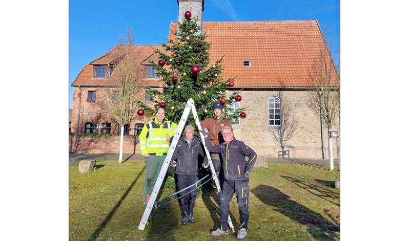 Es weihnachtet auch in Bilm: Weihnachtsbaum aufgestellt