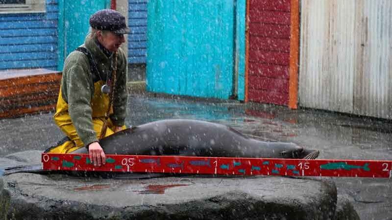 Tierisch spannende Inventur im Erlebnis-Zoo Hannover