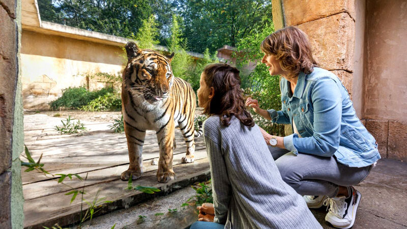 Erlebnis-Zoo Hannover für Parkscout-Award „Bester Zoo Deutschlands“ nominiert