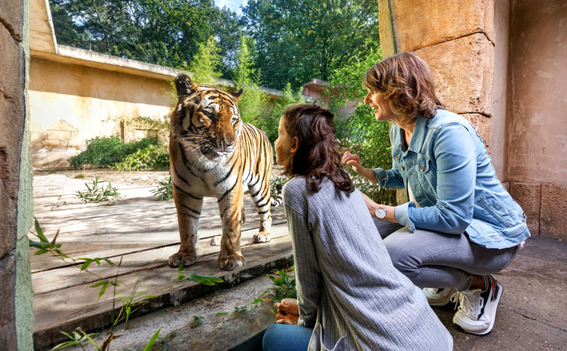 Erlebnis-Zoo Hannover für Parkscout-Award „Bester Zoo Deutschlands“ nominiert