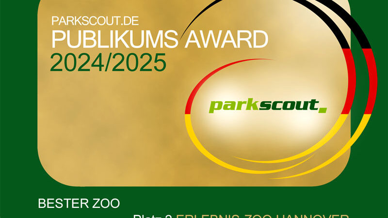 Erlebnis-Zoo Hannover erreicht zweiten Platz beim Parkscout-Publikums-Award „Bester Zoo“