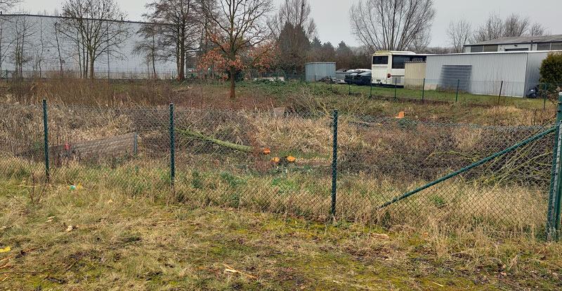 Rodungsarbeiten für erweiterten Hochwasserschutz: Mehr Platz für sichere Regenrückhaltung